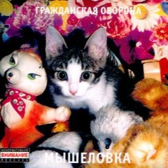 13 - Слепое бельмо