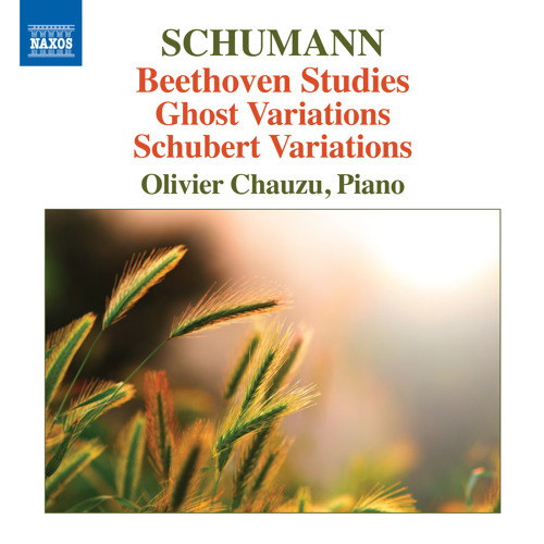 Ghost Variations Stream Schumann: Ghost Variations in E-Flat Major, Anh. F39 by NaxosUSA ...