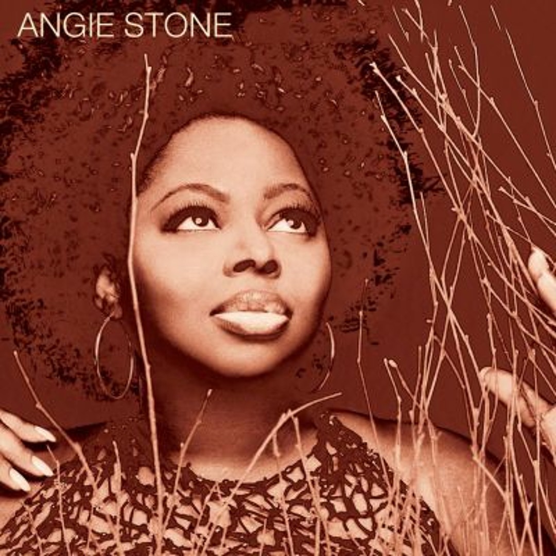 Angie Stone – Wish I Didn&#39;t Miss You Wish I Didn't Miss You (Pound Boys Stoneface Bootleg Mix