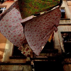 Hüsnü Arkan/ Zerdali