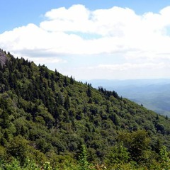 Fostering our Next Generation of Public Land Stewards