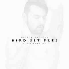 Bird Set Free (Cover Sia)