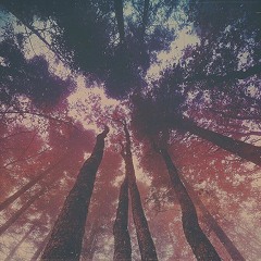 foreign exchange (free DL)