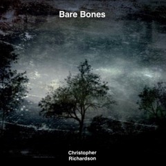 Bare Bones - Rainbow Kitten Surprise Live Cover