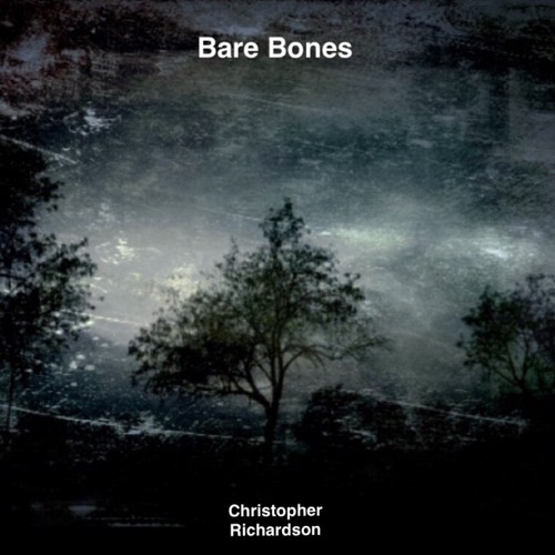 Bare Bones - Rainbow Kitten Surprise Live Cover