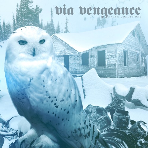 via-vengeance-dead-in-the-snow
