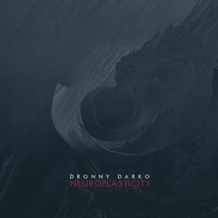 Dronny Darko - Mirror Neurons