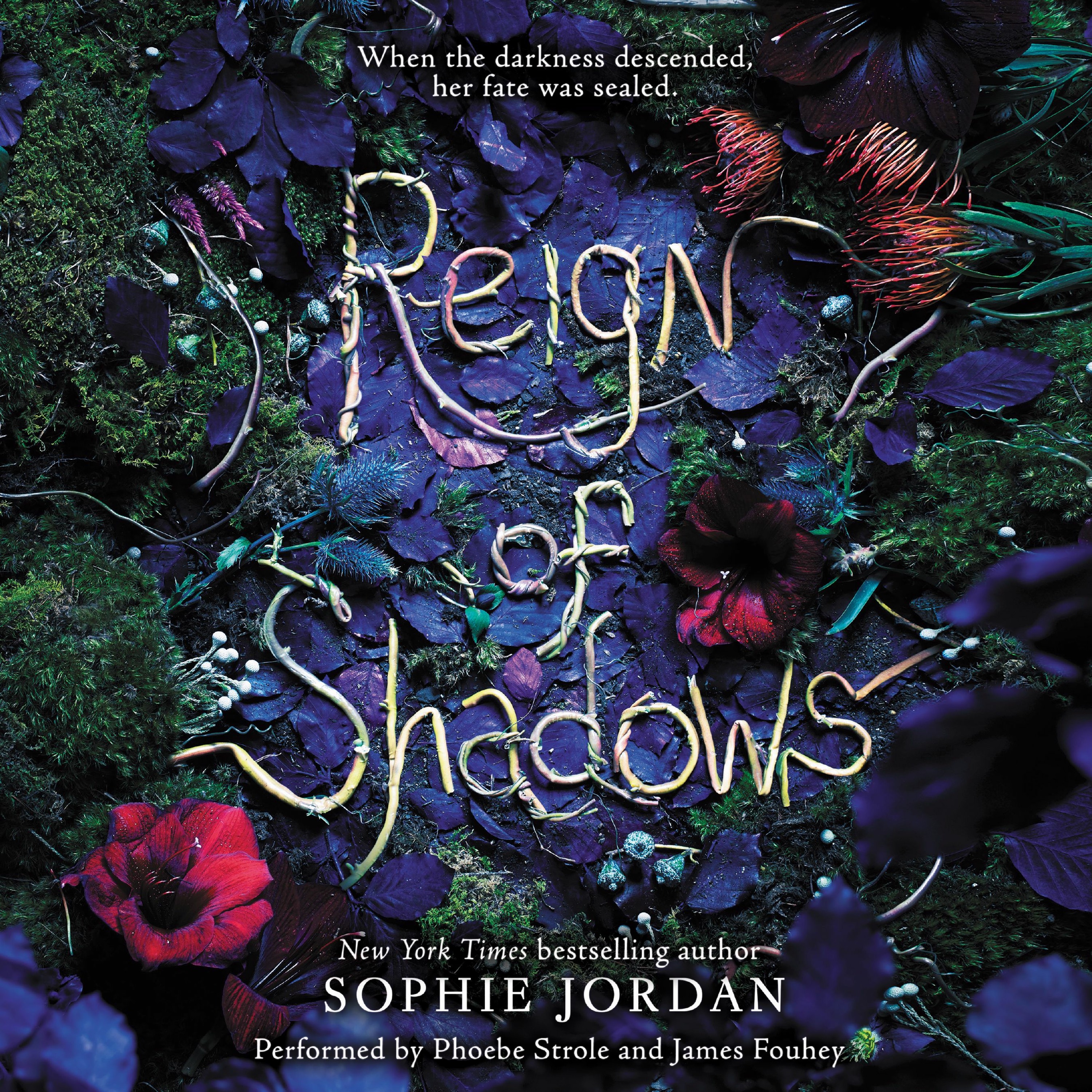 HarperChildren\'s Audio