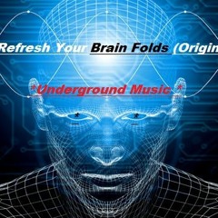 D1DO - Refresh Your Brain Folds (Original Mix)