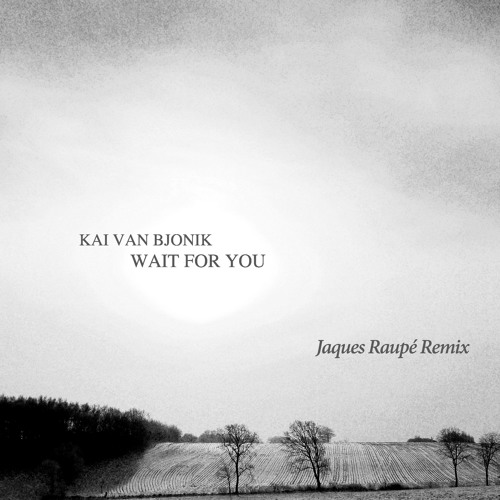 wait for you (Jaques Raupé Remix)