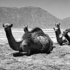 صالح الحوالي- شيلة عسى الله يسقي ايام البساطه