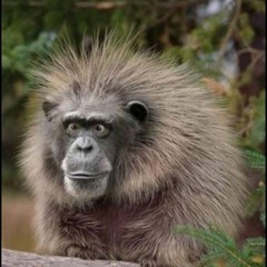 SuperSoul - February 2016