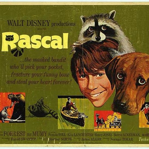 Rascal