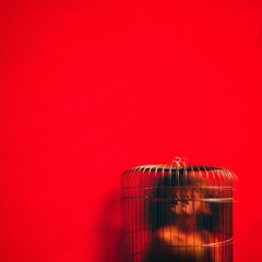 Eryn Allen Kane - Dead Or Alive