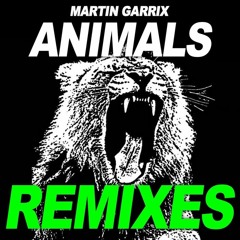 Martin Garrix - Animals (House Remix)