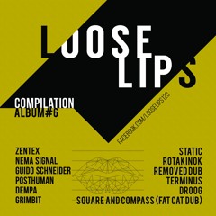 Grimbit - Square And Compass (Fat Cat Dub) (Loose Lips Compilation Album #6)