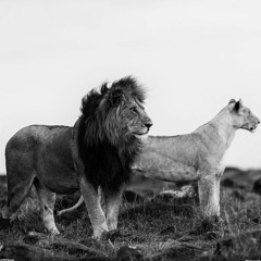 pride and joy
