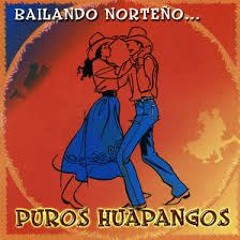 Huapangos Mix 2016 Dj Chema In The Mix LA NUEVA ERA DJ´S