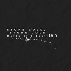 Stone Cold- Kevin, Karla & La Banda(spanish Version)