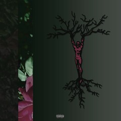 Trey Styles - Harmony