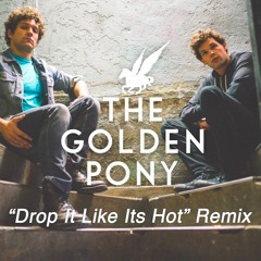 Snoop Dogg- Drop It Like Its Hot (The Golden Pony Remix)