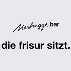 Ramon Zenker DJ Set Meshugge Bar 30.1.2016