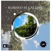 Borneo Is Calling