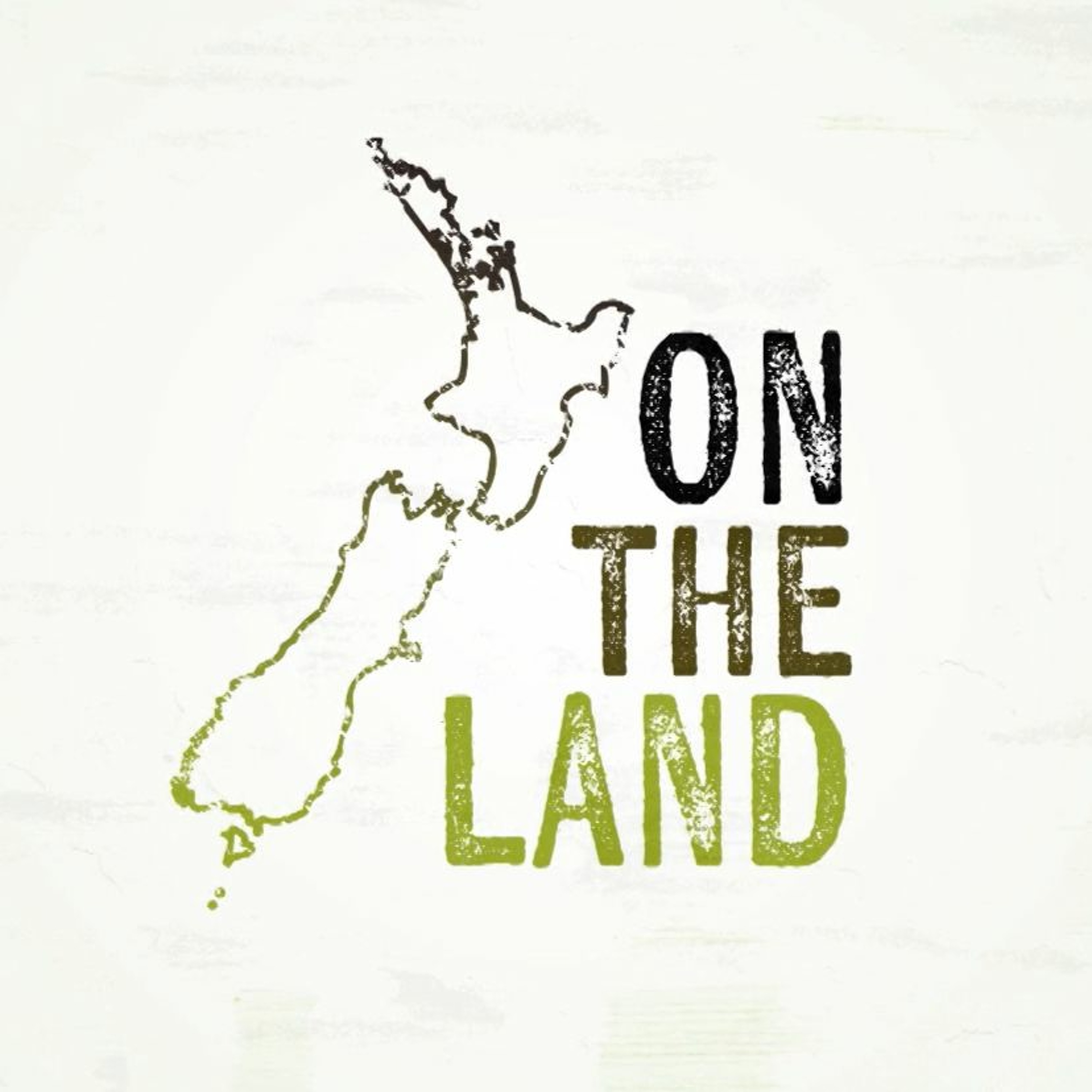 Takirua Tandem Media