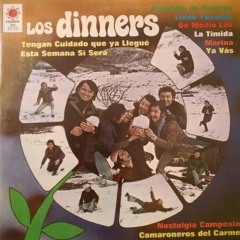 LOS DINNER'S - PONCHITO DE COLORES