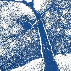 Kent Harrison - Night Sounds