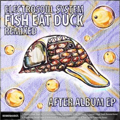 KOSMOS043DGTL Electrosoul System "Fish Eat Duck Remixed - After Album EP" (Preview Mini-Mix)