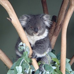 You're Not The Only One (cover)