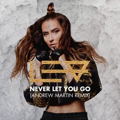 Never Let You Go (REMIX by Andrew Martin)