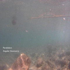 Parallelism - Angular Geometry - Preview (OUT NOW)