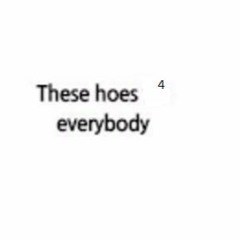 These Hoes (remix H R T A T T A C K)