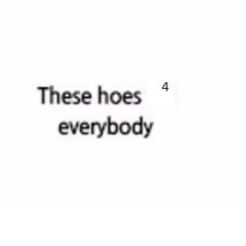 These Hoes (remix H R T A T T A C K)