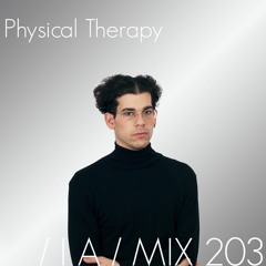 IA MIX 203 Physical Therapy