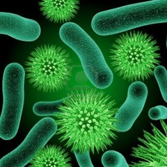 Microbiology (5) 31-1-2016.m4a
