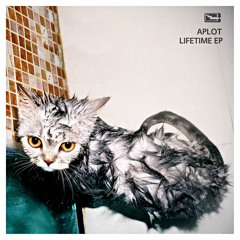 APLOT - Lifetime (Original Mix) - Tiefparterre Records