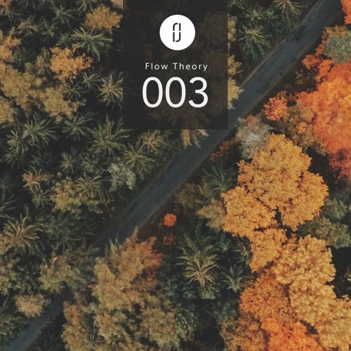 Flow Theory Radio: 003