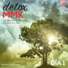 Dia 1 Detox MMK: Amor - ¿Qué Vida Amorosa Deseas Para Ti?