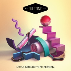 Little Bird (Du Tonc Rework) [FREE DOWNLOAD]