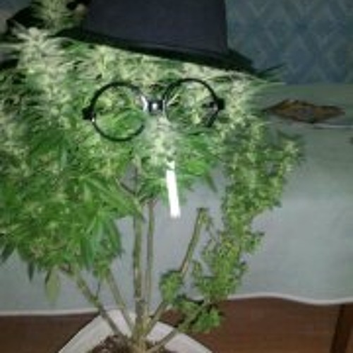 Rusko-Skanker (AweBreaK)