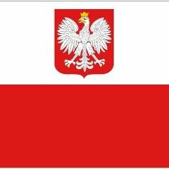 Civilization V - Polish Declaration of War