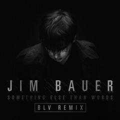Jim Bauer - Something Else Than Words (BLV Remix)