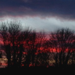 true colours (acoustic cover)