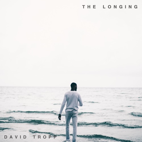 David Tropp - The Longing
