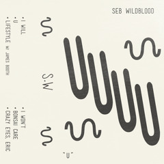 Premiere: Seb Wildblood - U