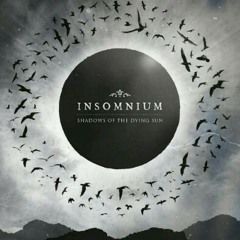 10. Shadows Of The Dying Sun.mp3