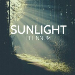 Sunlight (Original Mix) - Felinnum [MASTERIZADO]